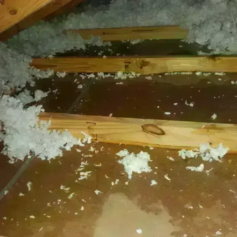 Attic Water Damage in Oldham County, TX