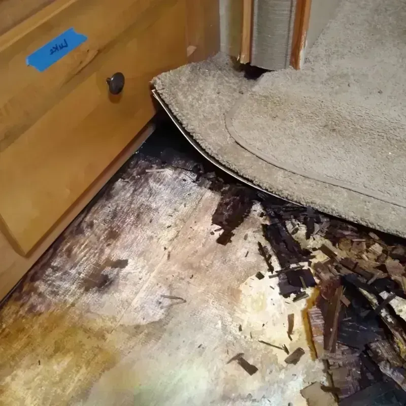 Best Wood Floor Water Damage Service in Oldham County, TX